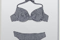 Vintage Bathing Suit in Navy or Black with White Gingham Plaid - Illustrated Print